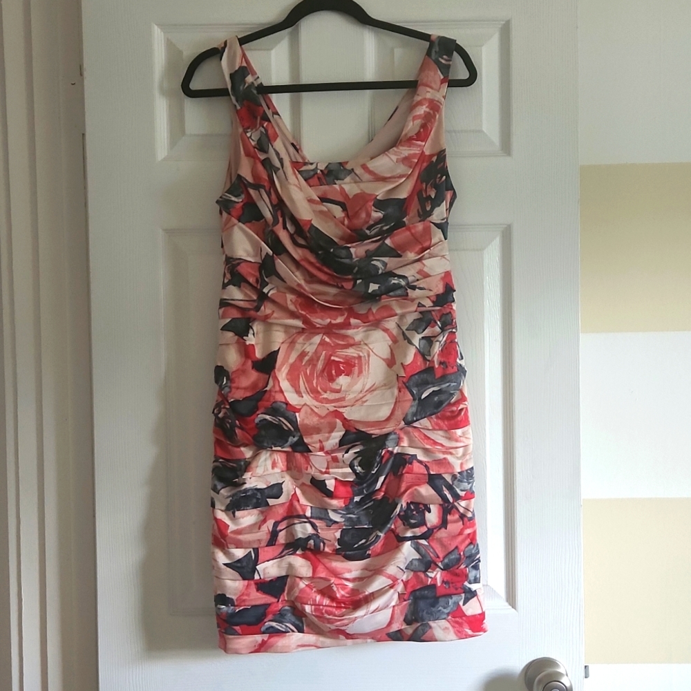 Express Dress Size 10